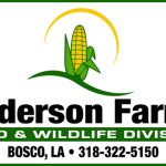 Anderson_Logo
