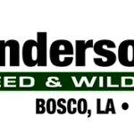 Anderson Logo Header