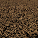 dirt_field-Pattern